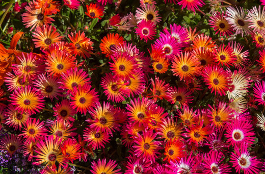 791310 (a): :2064x1352